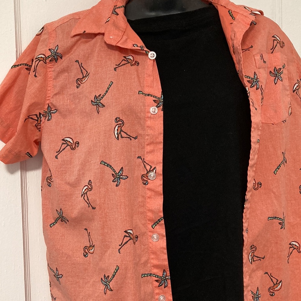 Palm Tree Button Down - Picture 6 of 7